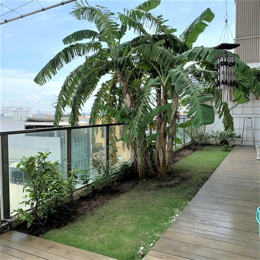 Apartment for rent  D203410 (5)